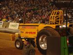 NFMS 176.jpg